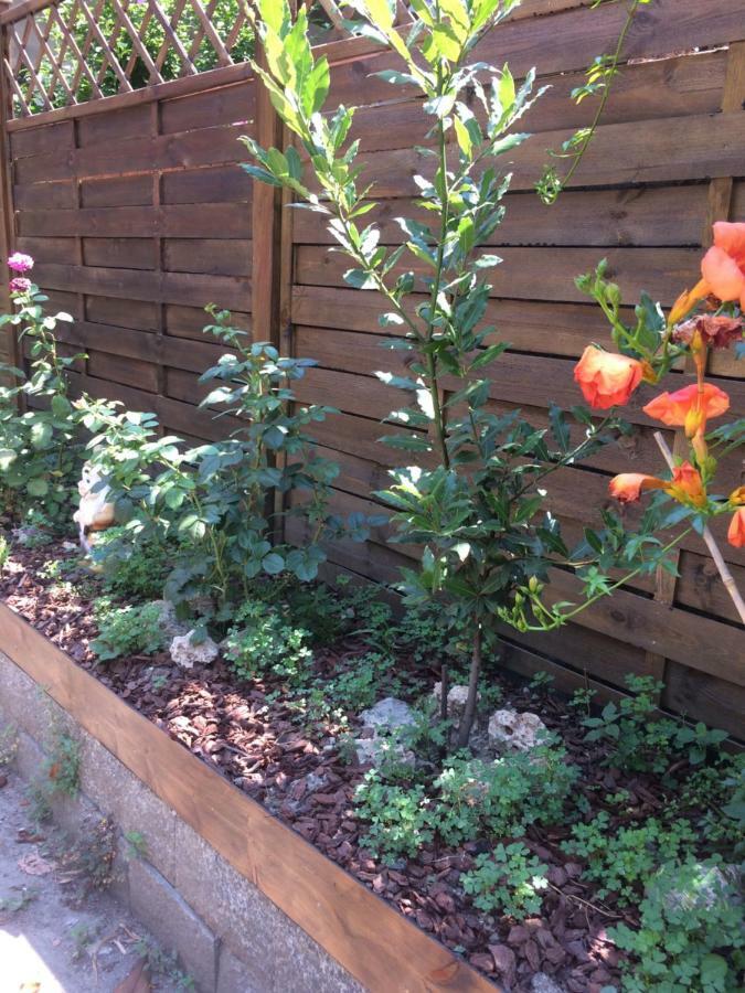 La Porta Nel Giardino Apartment Asti Bagian luar foto