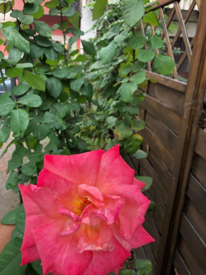 La Porta Nel Giardino Apartment Asti Bagian luar foto